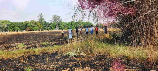 शार्ट सर्किट की चिंगारी से लगी आग, 25 बीघा गेहूं जलकर राख
